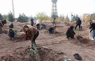 Kadına yönelik şiddete dikkat çekmek amacıyla...