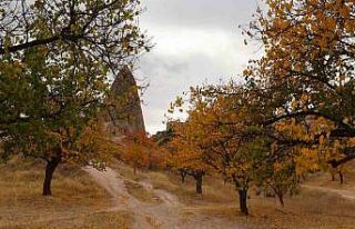 Kapadokya’daki renk cümbüşü dron ile görüntülendi