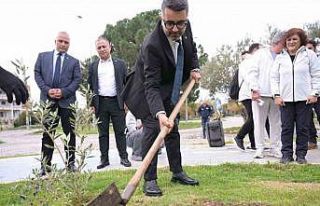 Kar Spor İda Ultra öncesinde zeytin fidanları toprakla...