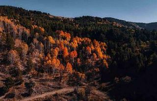 Karagöl Tabiat Parkı’nda sonbahar, renkli görüntüler...