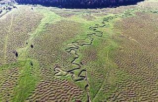Karagöl Yaylası’nın eşsiz menderesleri havadan...