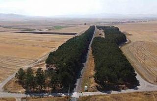 Kars’ta bozkırın ortasındaki vaha havadan görüntülendi