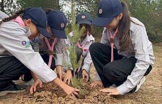 Kastamonu’da fidanlar toprakla buluştu