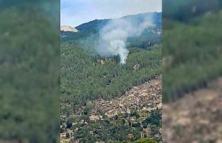 Kavaklıdere’de orman yangını