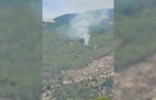 Kavaklıdere’deki orman yangını kontrol altına...