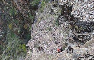 Kayalıklarda mahsur kalan keçiler kurtarıldı