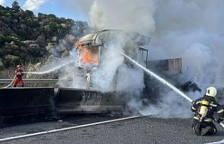 Kaza yapan tır alevlere teslim oldu