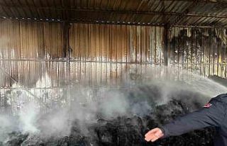 Keşan’da çıkan yangında bin saman balyası yandı