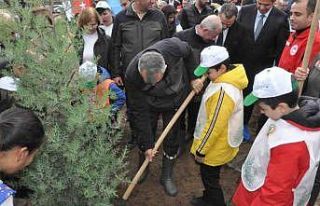 Keşan’da yangından zarar gören ormanlık alana...