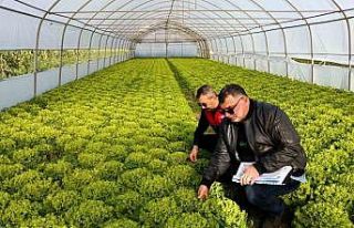Kırklareli’nde sera denetimleri