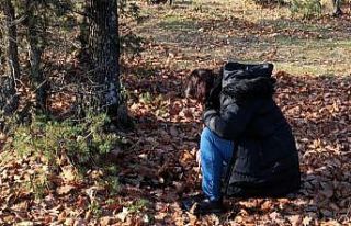 Kırklareli’nde süne ile mücadele hamlesi: Sonbahar...
