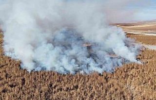Konya’da sazlık alanda yangını