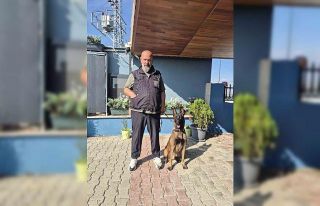 Köpek eğitmeni Eren Ay: "Köpekler kötü değildir,...