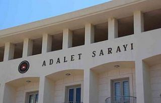 Köpekleri tüfekle vuran şahıs tutuklandı