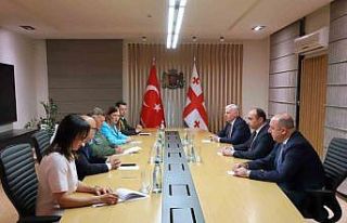 Korgeneral Kadıoğlu, Gürcistan İçişleri Bakanı...