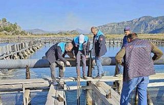 Köyceğiz Gölü, Dalyan ve İztuzu’nda denetim