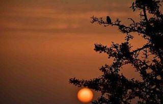 Kuş Cenneti’nde sonbahar