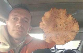 Kütahya’da bulunan dev mantar şaşırttı