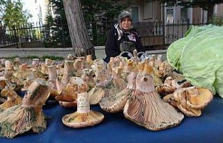 Kütahya’da ’Melki’ bereketi