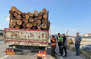 Kütahya’da orman emvali yüklü araçlar denetlendi