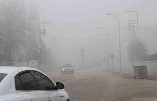 Malazgirt’te sis etkili oldu