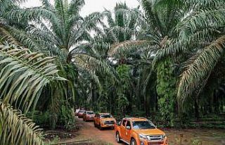 Malezya ile ABD arasında palm yağı savaşı