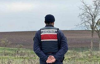 Mantar toplarken top mermisi buldular