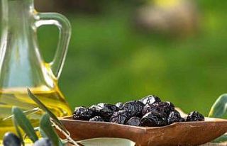 Marmarabirlik’ten 761 milyon liralık ödeme