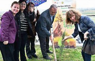 MCBÜ’den ’Yeşil vatan’ seferberliğine destek