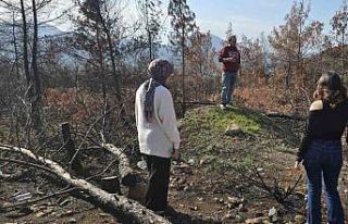 Menteşe’nin gönüllü gençlerinden örnek çevre...