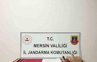 Mersin’de kaçak kazı operasyonu: 4 şüpheli yakalandı