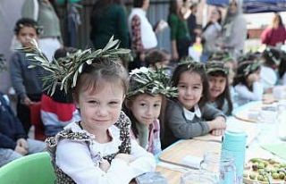 Minik eller zeytinle buluştu