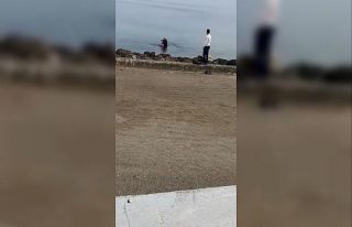 Mudanya sahilinde oltaya takılan martıyı vatandaş...