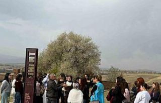 Muğlalı gençler medeniyet, tarih ve kültür kampı...