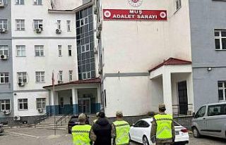 Muş’ta aranan hükümlü jandarmanın devriyesine...