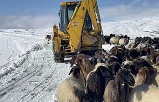 Muş’ta yoğun kar yağışı