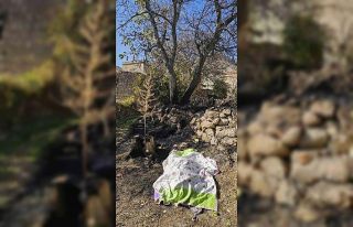 Nevşehir’de bahçe temizliği facia ile sonuçlandı