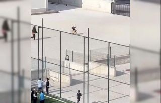 Okul bahçesine giren köpek çocuklara büyük panik...