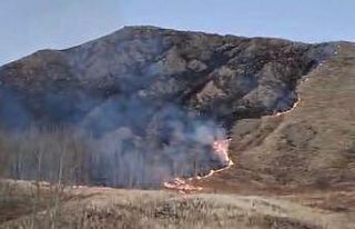 Oltu’da örtü yangını korkuttu