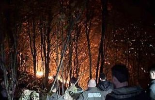 Ordu’da ormanlık alanda yangın