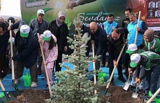 Orman şehidi Eyüp Dereli adına oluşturulan alana...