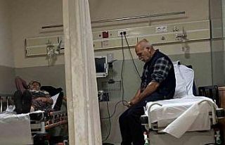 Ormandaki mantarları yiyen 7 kişi hastanelik oldu