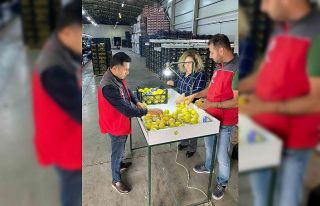 Ortaca’da ihracata giden ürünlere onay