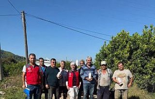 Ortaca’da narenciye bahçelerinde zararlılara karşı...