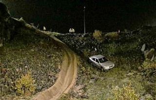 Otomobil viyadükten uçtu: 1 yaralı