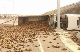 Pancar yüklü kamyon devrildi