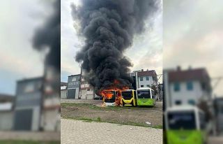 Park halindeki otobüsler cayır cayır yandı