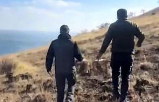 Rehabilite edilen keklikler yeniden doğayla buluştu