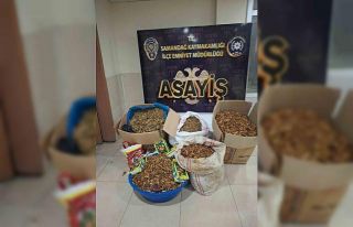 Samandağ’da kaçak tütün operasyonu