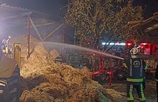 Samanlık yangını korkuya neden oldu